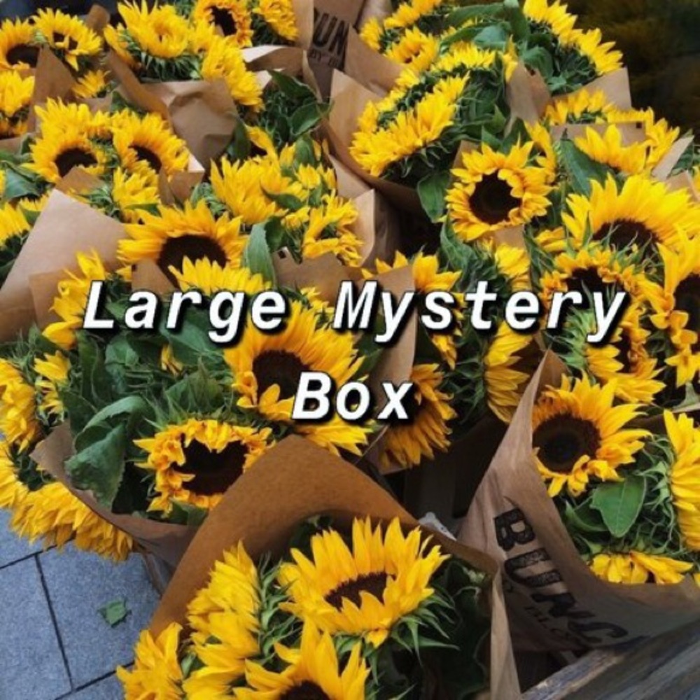Large Mystery Box 🌻✨